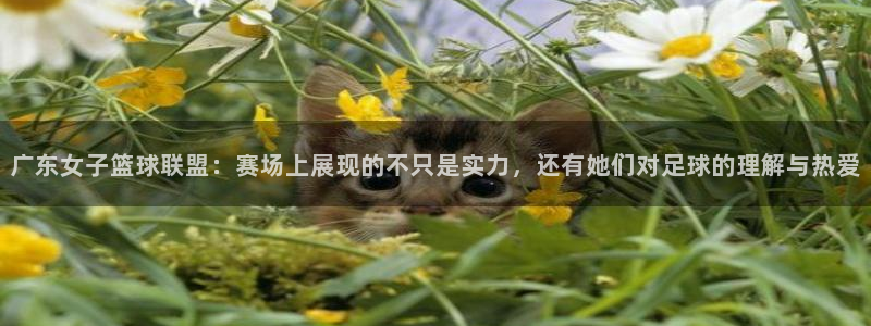 广东女子篮球联盟：赛场上展现的不只是实力，还有她们对足球的理解与热爱