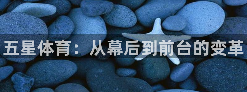 五星体育：从幕后到前台的变革