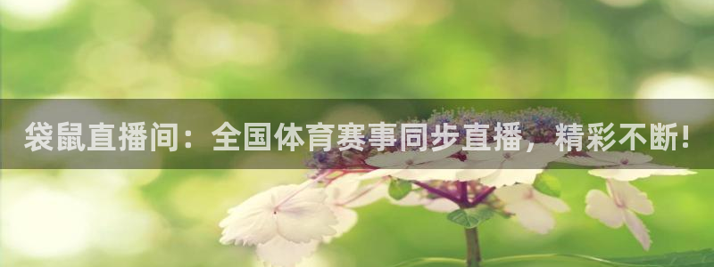 袋鼠直播间：全国体育赛事同步直播，精彩不断!