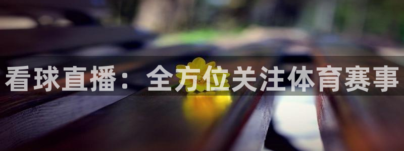 看球直播：全方位关注体育赛事