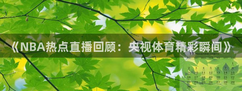 《NBA热点直播回顾：央视体育精彩瞬间》
