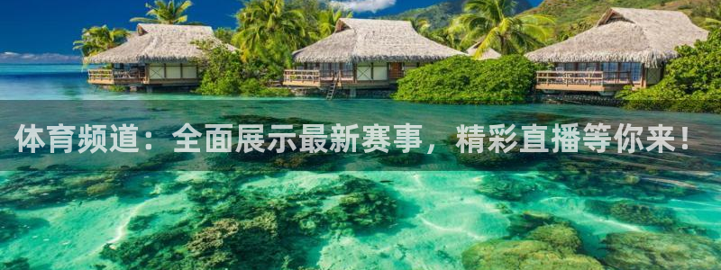 体育频道：全面展示最新赛事，精彩直播等你来！