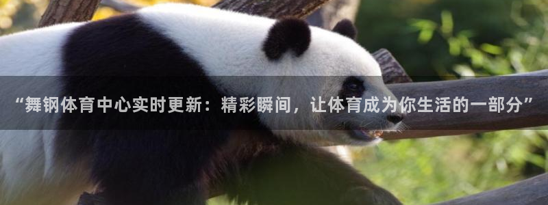 “舞钢体育中心实时更新：精彩瞬间，让体育成为你生活的一部分”