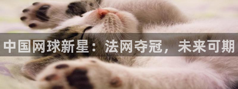 中国网球新星：法网夺冠，未来可期