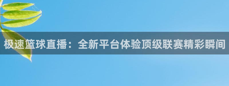 极速篮球直播：全新平台体验顶级联赛精彩瞬间
