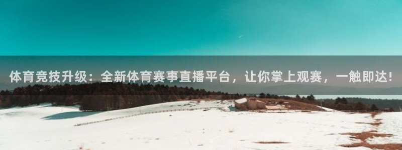体育竞技升级：全新体育赛事直播平台，让你掌上观赛，一触即达!