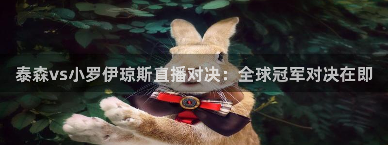 泰森vs小罗伊琼斯直播对决：全球冠军对决在即