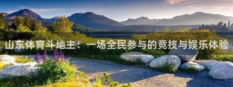 山东体育斗地主：一场全民参与的竞技与娱乐体验