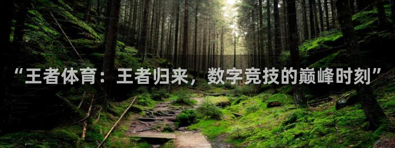 “王者体育：王者归来，数字竞技的巅峰时刻”