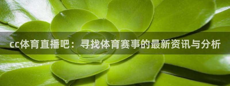 cc体育直播吧：寻找体育赛事的最新资讯与分析