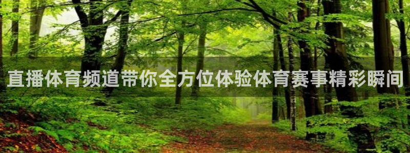 直播体育频道带你全方位体验体育赛事精彩瞬间