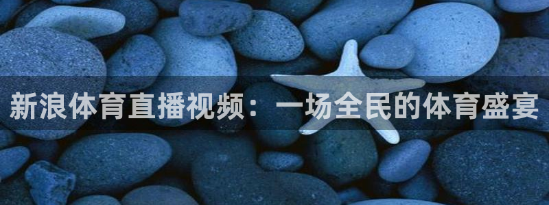 新浪体育直播视频：一场全民的体育盛宴