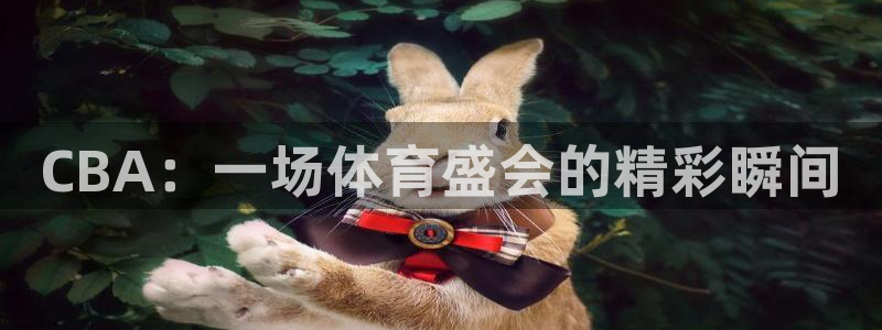 CBA：一场体育盛会的精彩瞬间