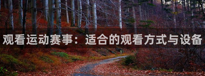 观看运动赛事：适合的观看方式与设备