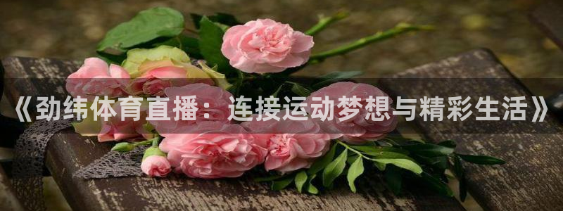 《劲纬体育直播：连接运动梦想与精彩生活》
