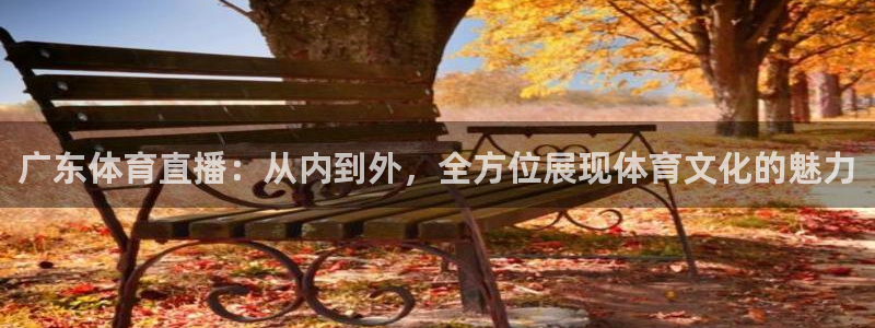 广东体育直播：从内到外，全方位展现体育文化的魅力