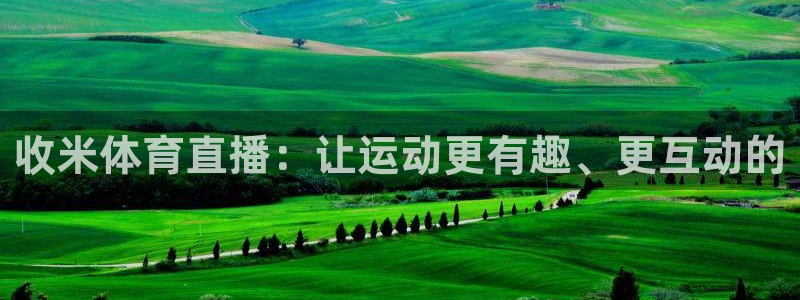 收米体育直播：让运动更有趣、更互动的