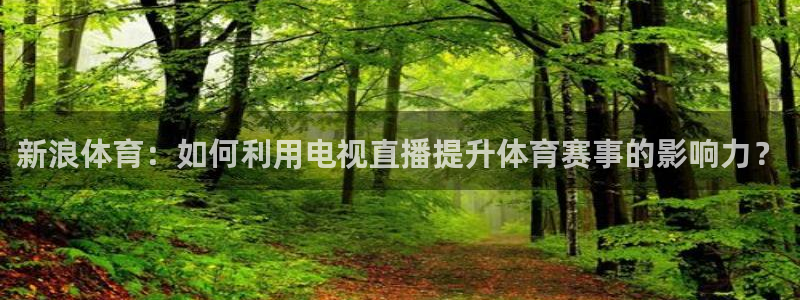 新浪体育：如何利用电视直播提升体育赛事的影响力？