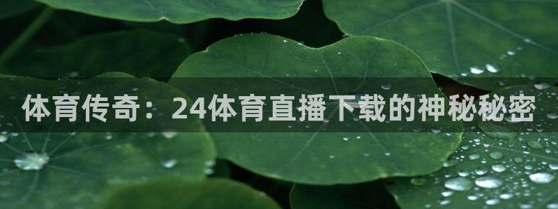体育传奇：24体育直播下载的神秘秘密