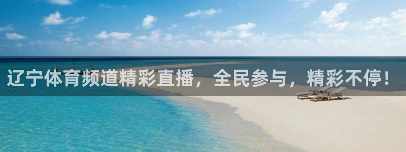 辽宁体育频道精彩直播，全民参与，精彩不停！