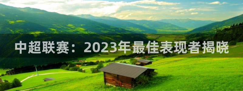 中超联赛：2023年最佳表现者揭晓
