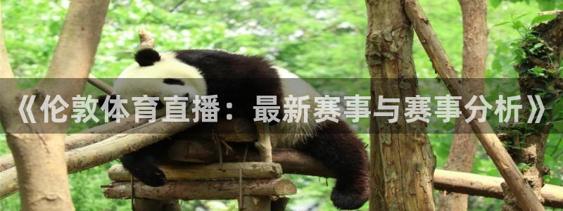 《伦敦体育直播：最新赛事与赛事分析》