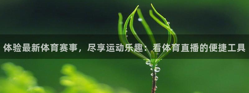 体验最新体育赛事，尽享运动乐趣：看体育直播的便捷工具