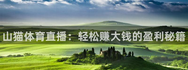 山猫体育直播：轻松赚大钱的盈利秘籍