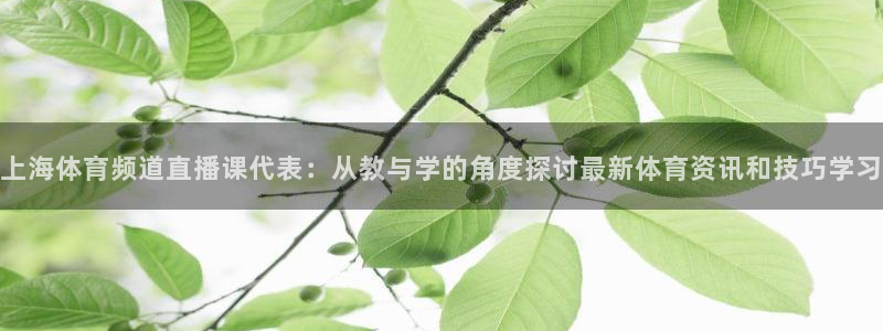 上海体育频道直播课代表：从教与学的角度探讨最新体育资讯和技巧学习