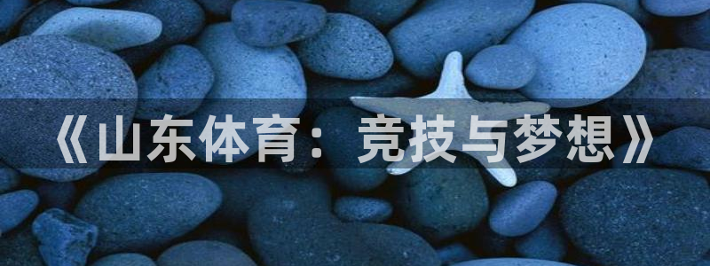 《山东体育：竞技与梦想》