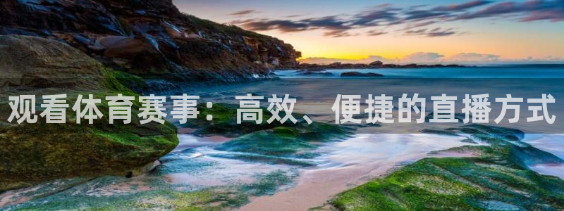 观看体育赛事：高效、便捷的直播方式