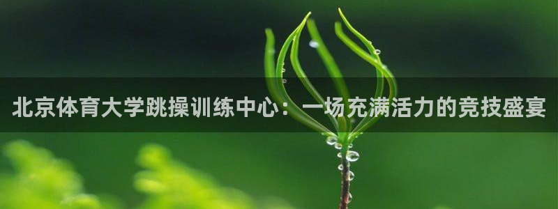 北京体育大学跳操训练中心：一场充满活力的竞技盛宴