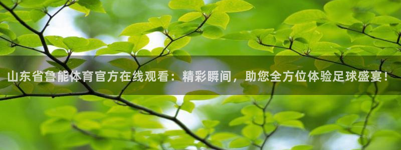 山东省鲁能体育官方在线观看：精彩瞬间，助您全方位体验足球盛宴！