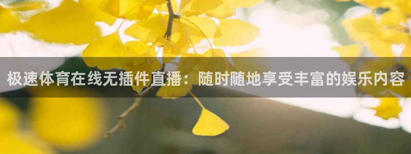 极速体育在线无插件直播：随时随地享受丰富的娱乐内容