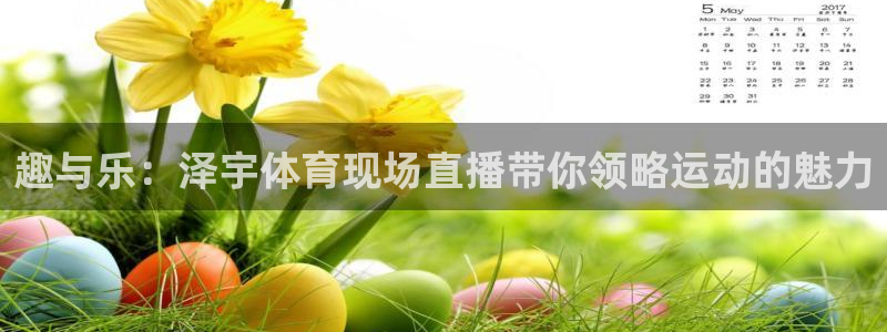 趣与乐：泽宇体育现场直播带你领略运动的魅力