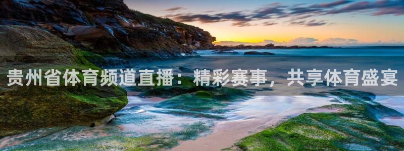 贵州省体育频道直播：精彩赛事，共享体育盛宴
